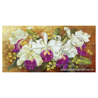 Orquídea branca com miolo roxo – Martinelli